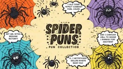 spider name puns