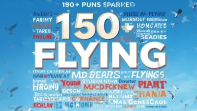 puns about flying