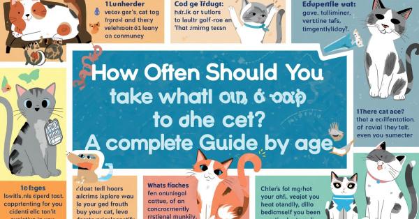 how often do you take a cat to the vet